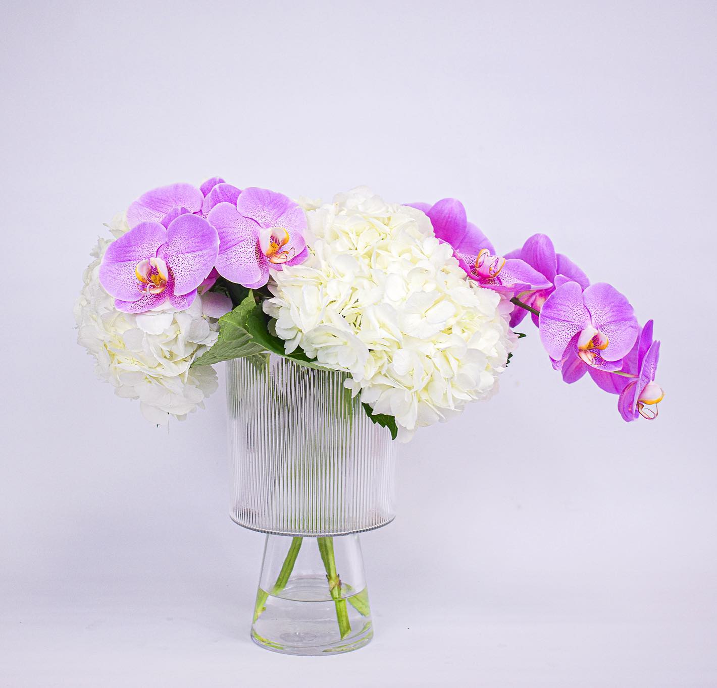 Orchid Arrangements Plan