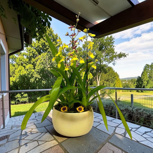 Golden Oncidium Orchid Arrangement