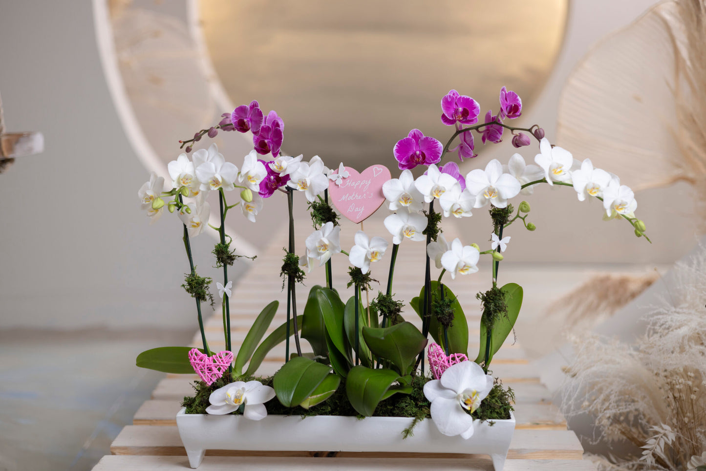 LOVE IN BLOOM