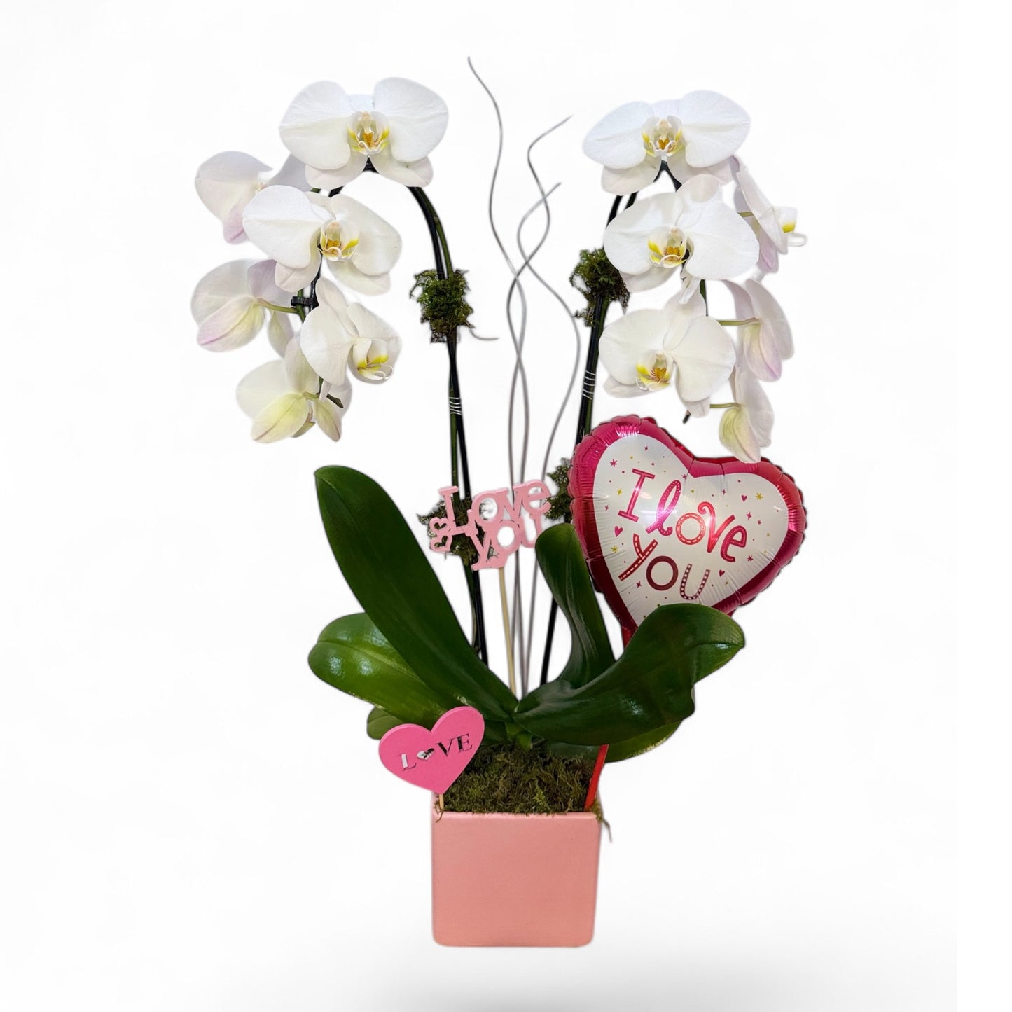 Valentine’s Love Orchid Arrangement