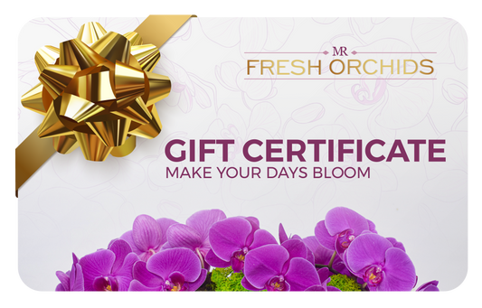 MrFresh Orchids Gift Certificate - $50
