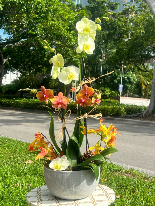 Autumn Orchid Arrangement