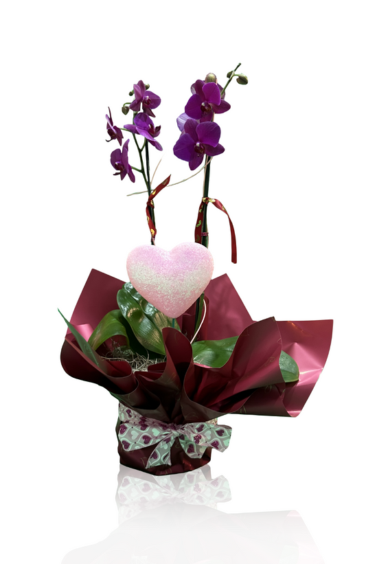 Be my Valentines