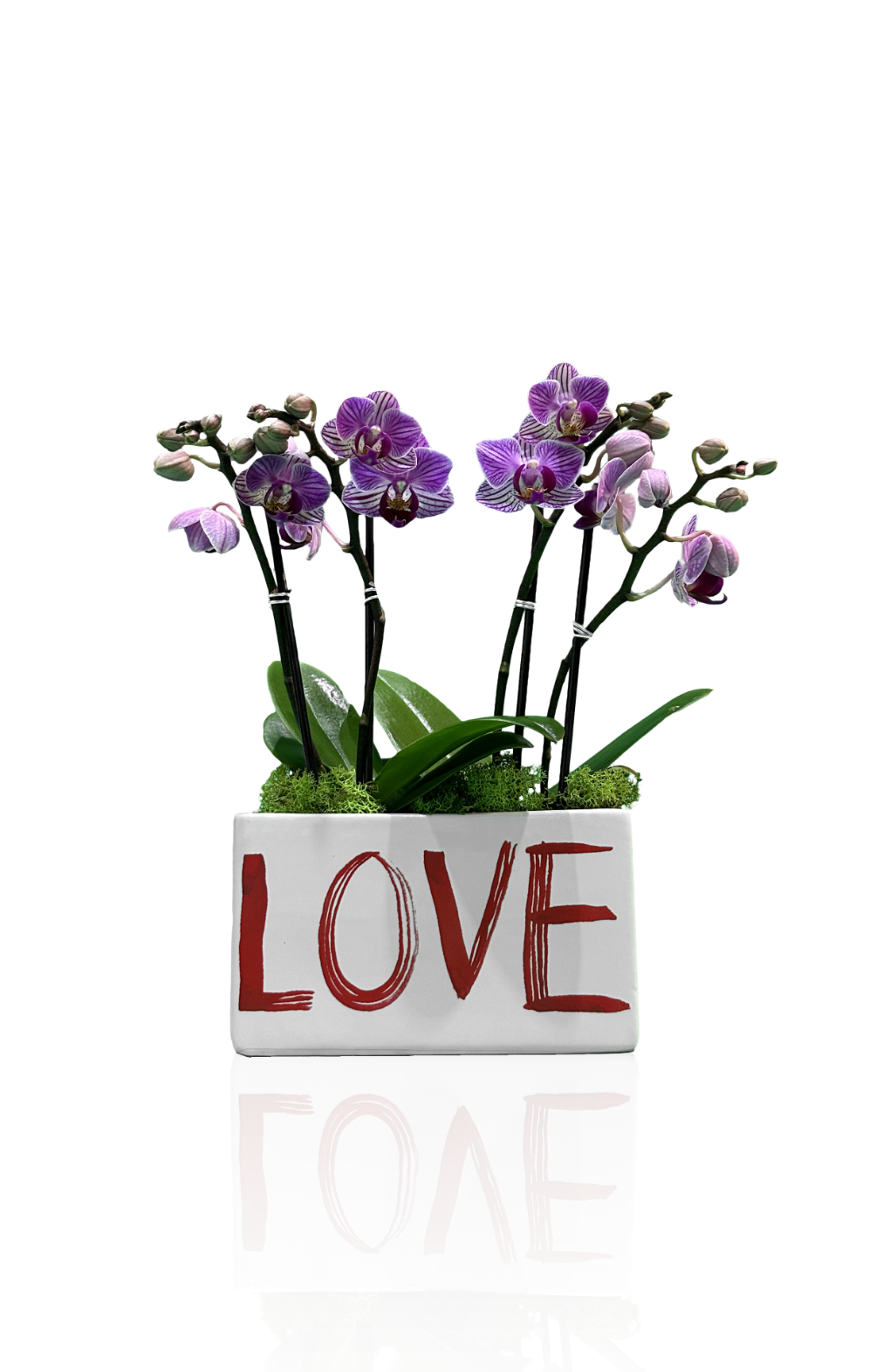 Love You Better