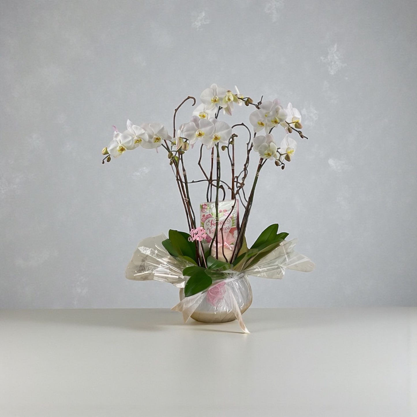 Eternal Love Orchid