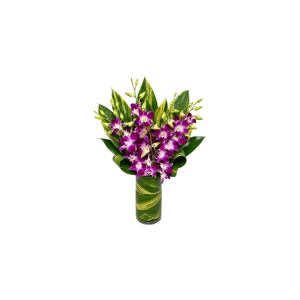 Rojales – Purple Dendrobium Orchid Arrangement